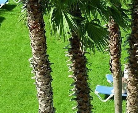 Tropic Park Resort