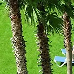 Tropic Park Курортный комплекс